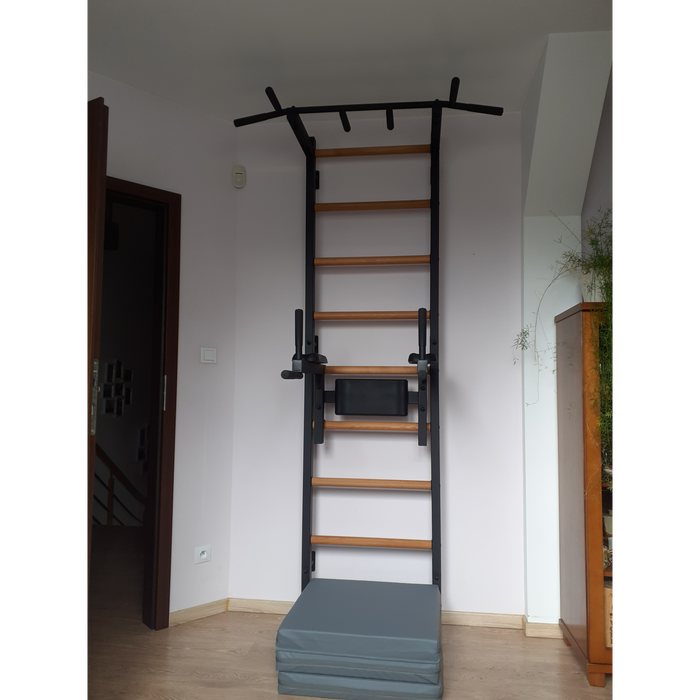 BenchK 722 Wall Bars Swedish Ladder with Pull Up and Dip Bar