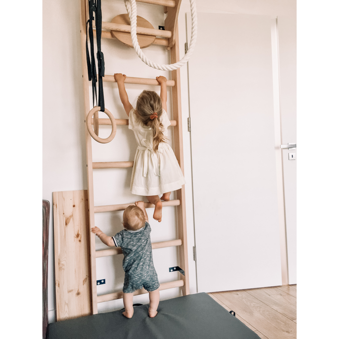 BenchK 111 Wall Bars Swedish Ladder with Accessories