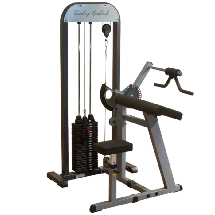 Body Solid Pro-Select Biceps & Triceps Machine GCBT-STK