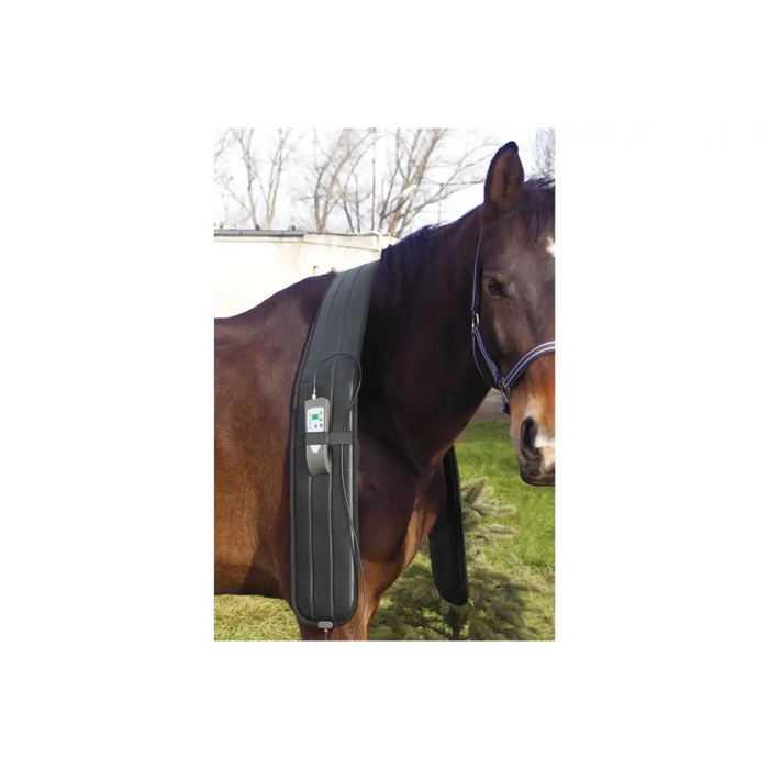 OMI PEMF Full Equine Package: Blanket, Shoulder Band, Neck Wrap, Rear Leg Wrap, Front Leg Wrap