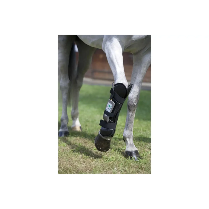 OMI PEMF Horse Front Leg Wrap